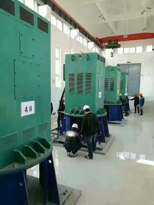 昭平某污水处理厂使用我厂的立式高压电机安装现场生产厂家
